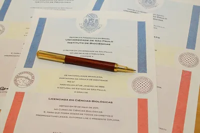 Brazilian Diploma Translation