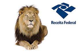 Tradução de Declaração de Renda de Renda nos Estados Unidos